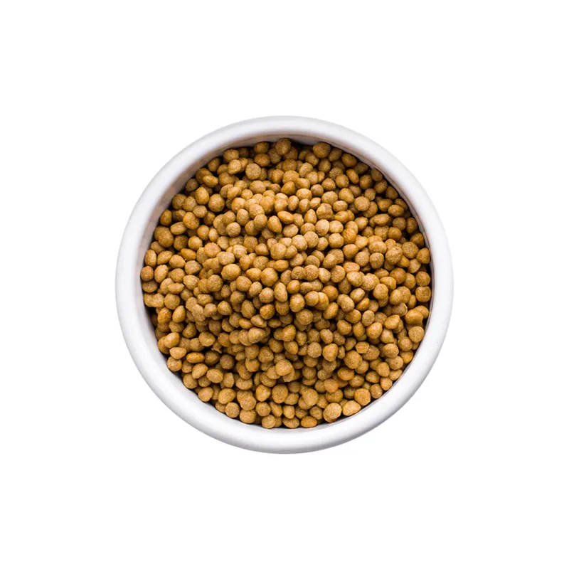 alimento-saludable-cachorros-csuperfood 1 copia.webp