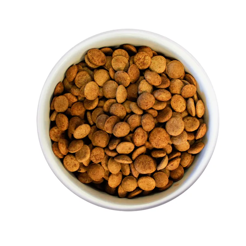 alimento-saludable-c-superfood-razas-med-grandes 2 copia.webp