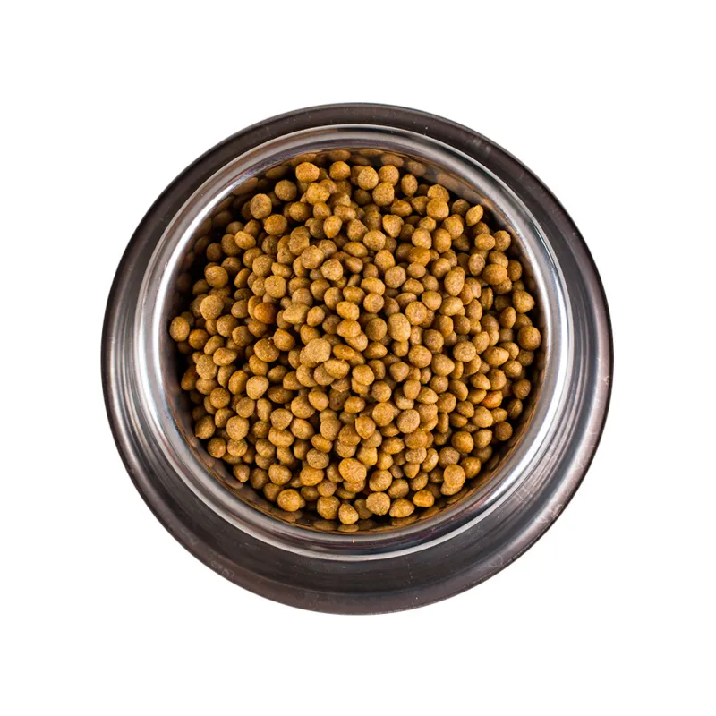 alimento-saludalbe-superfood-razas-pequenas-y-med copia.webp