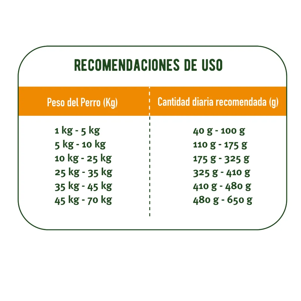 recomendaciones.webp