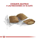 3182550786218_03.webp