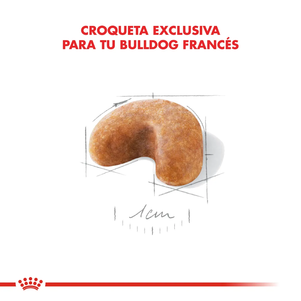 7790187341784_03 (1).webp