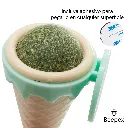 CATNIP HELADO 1.webp