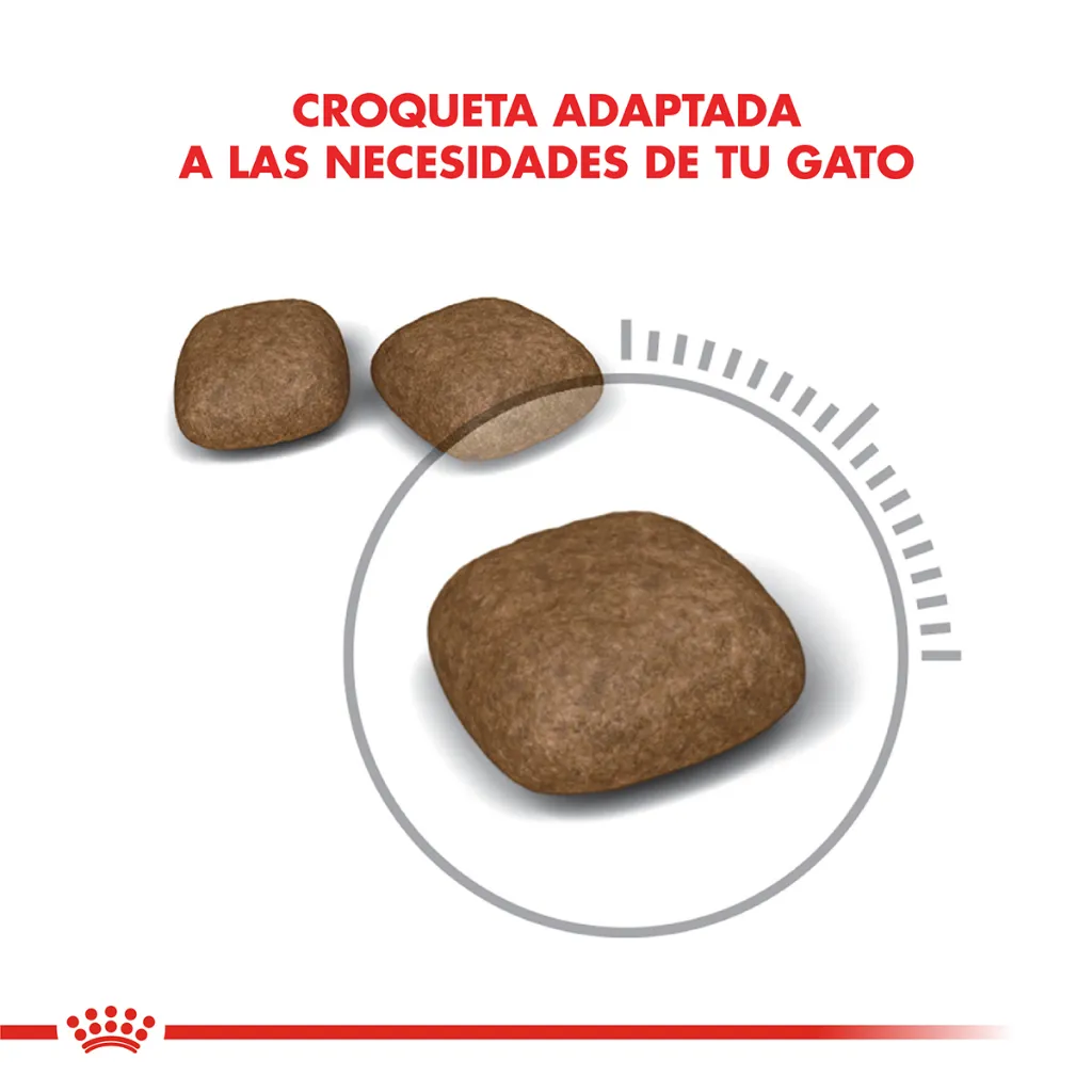 7790187340350_03.webp