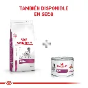 9003579000595_05.webp