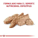9003579000595_03.webp