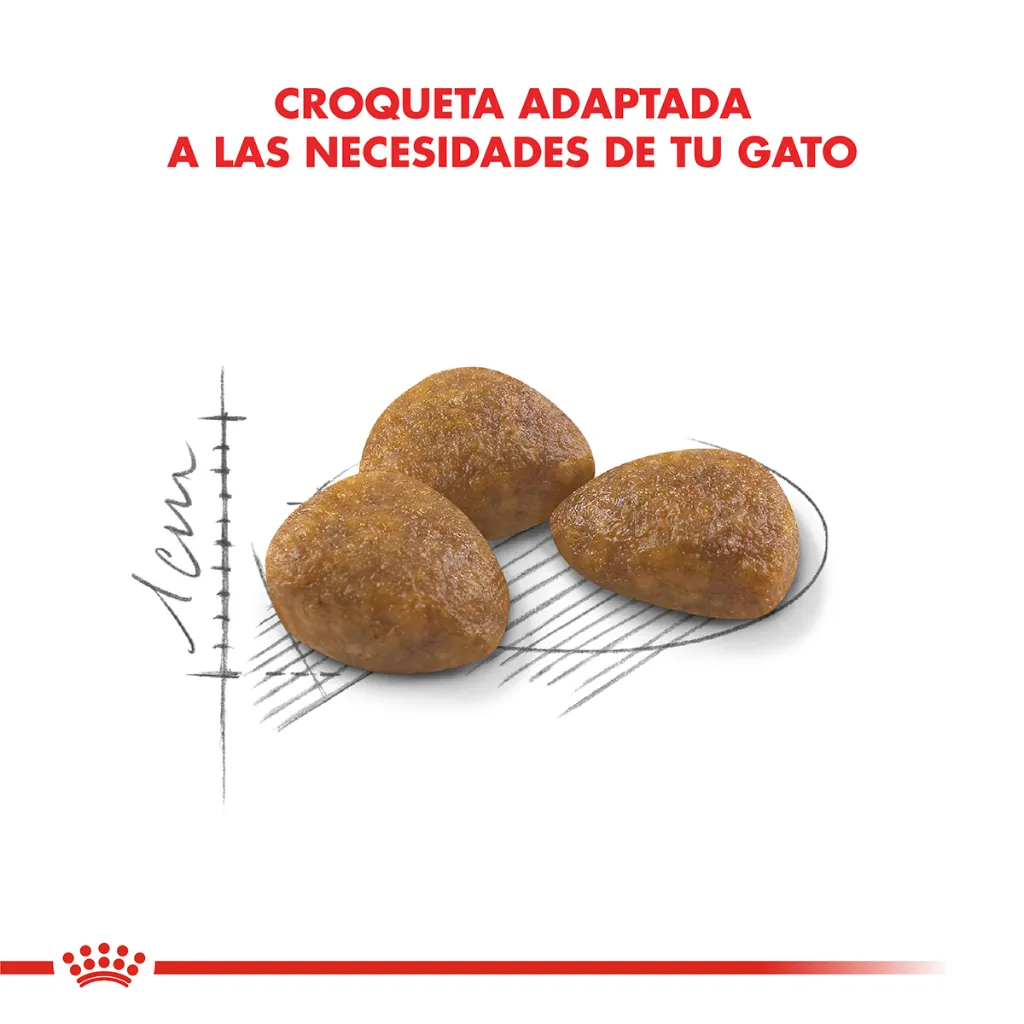 7790187339415_03.webp