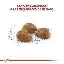 7790187339415_03.webp