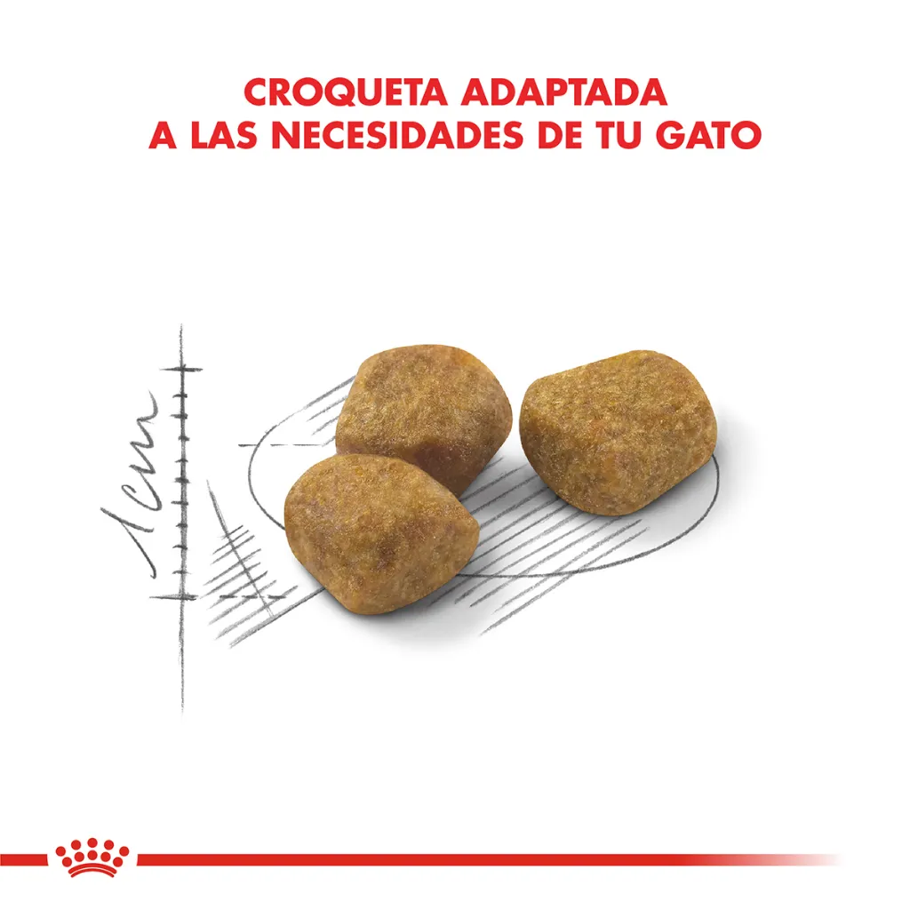7790187338739_03.webp