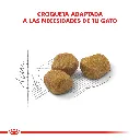 7790187338739_03.webp