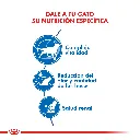 7790187338739_02.webp