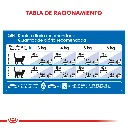 7790187338739_06.webp
