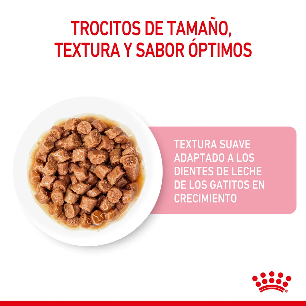 9003579308943_03.webp