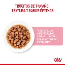 9003579308943_03.webp