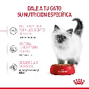 9003579308943_02.webp