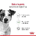 7790187370227_02.webp