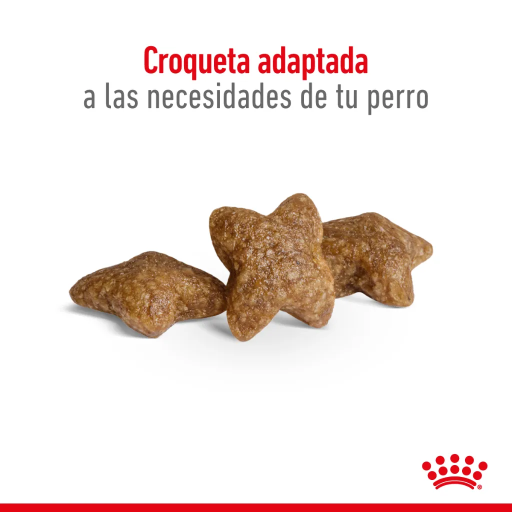 7790187370227_03.webp