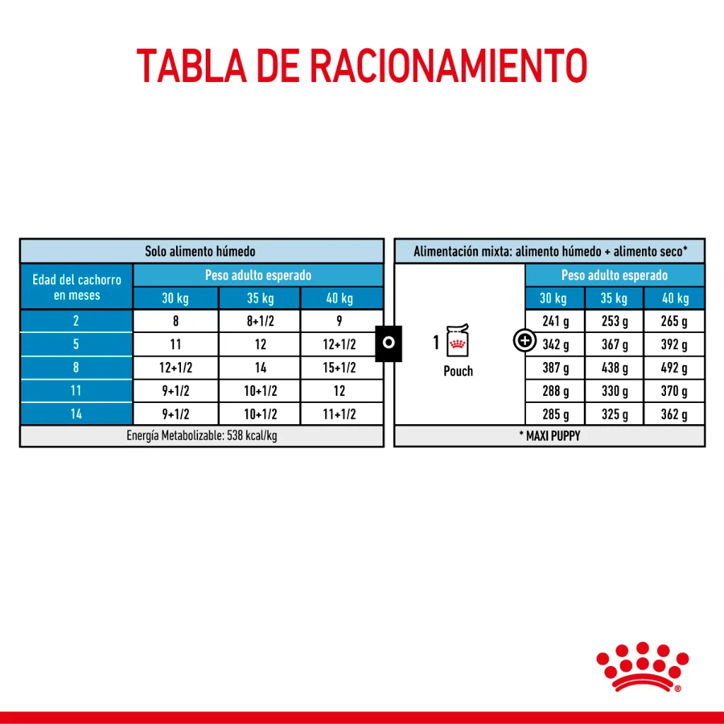 9003579008454_06.webp