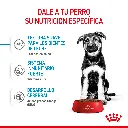 9003579008454_02.webp