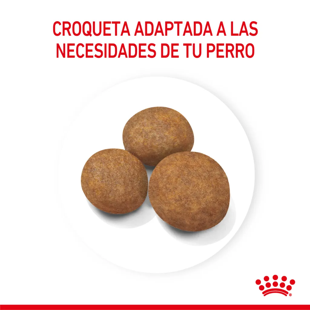 7790187342347_03.webp