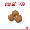 7790187342347_03.webp