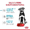 7790187342347_02.webp