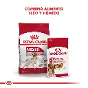 9003579008362_05.webp