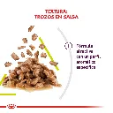 9003579018514_03.webp