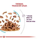 9003579018941_03.webp