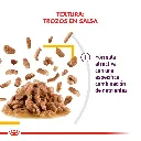 9003579018866_03.webp