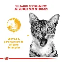 9003579018866_02.webp