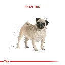 7790187341296_07.webp