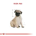 7790187341319_07.webp