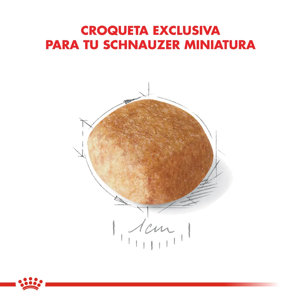 7790187341753_03.webp