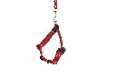 M-PETS_20801299 CATOGO harness & leash red 2.webp