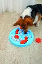 M_PETS_10650199_EINSTEIN_BRAINY_GAME_with_dog2.webp