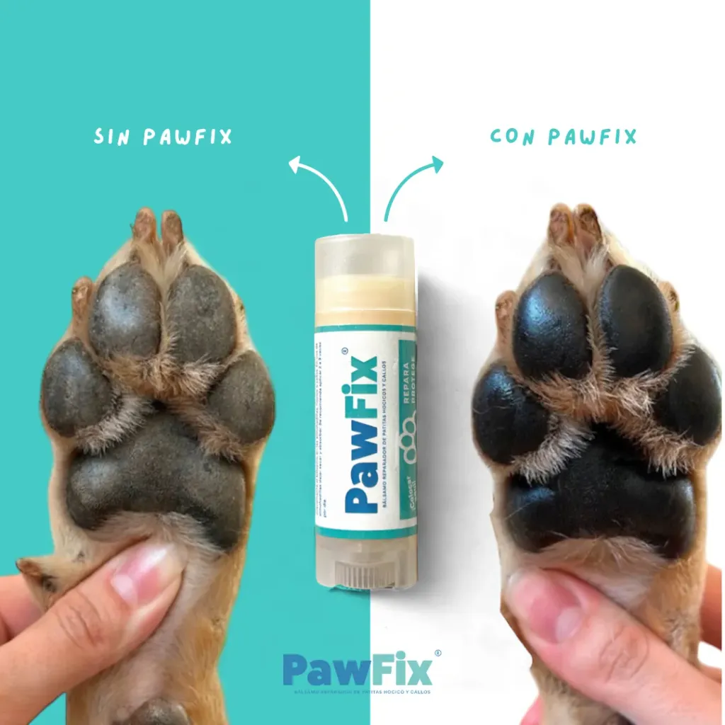 Sin-Pawfix.zip-1.webp