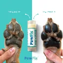 Sin-Pawfix.zip-1.webp