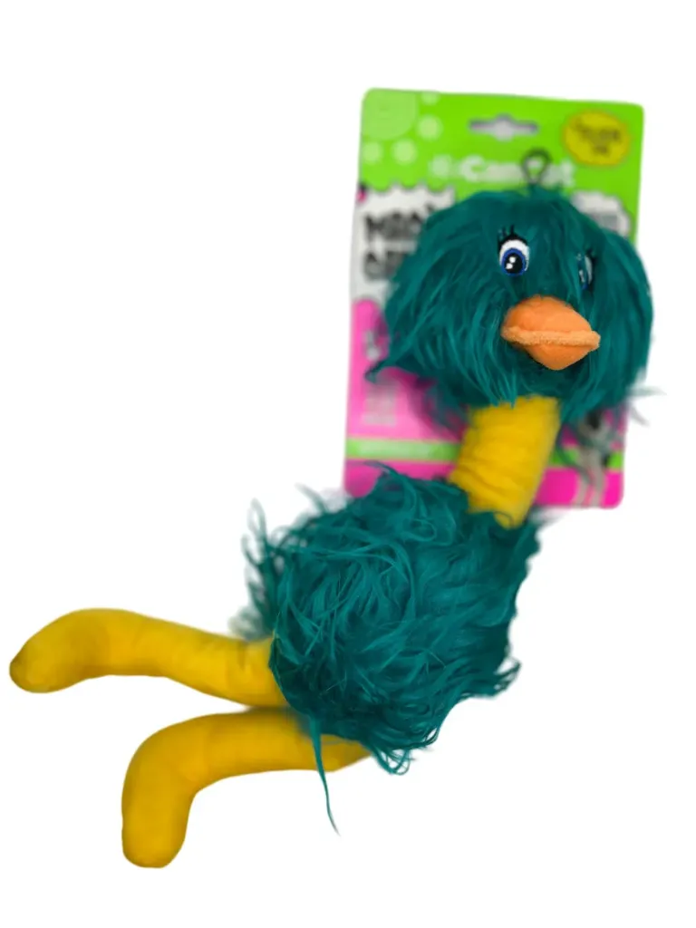 CANCAT - AVESTRUZ 10X35 CMS