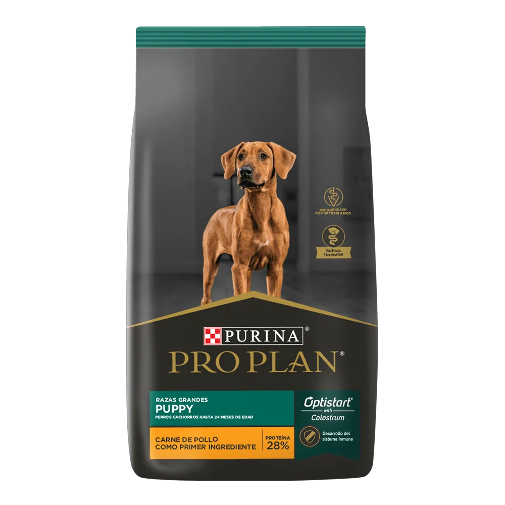 PRO PLAN - CACHORRO RAZA GRANDE 15KG