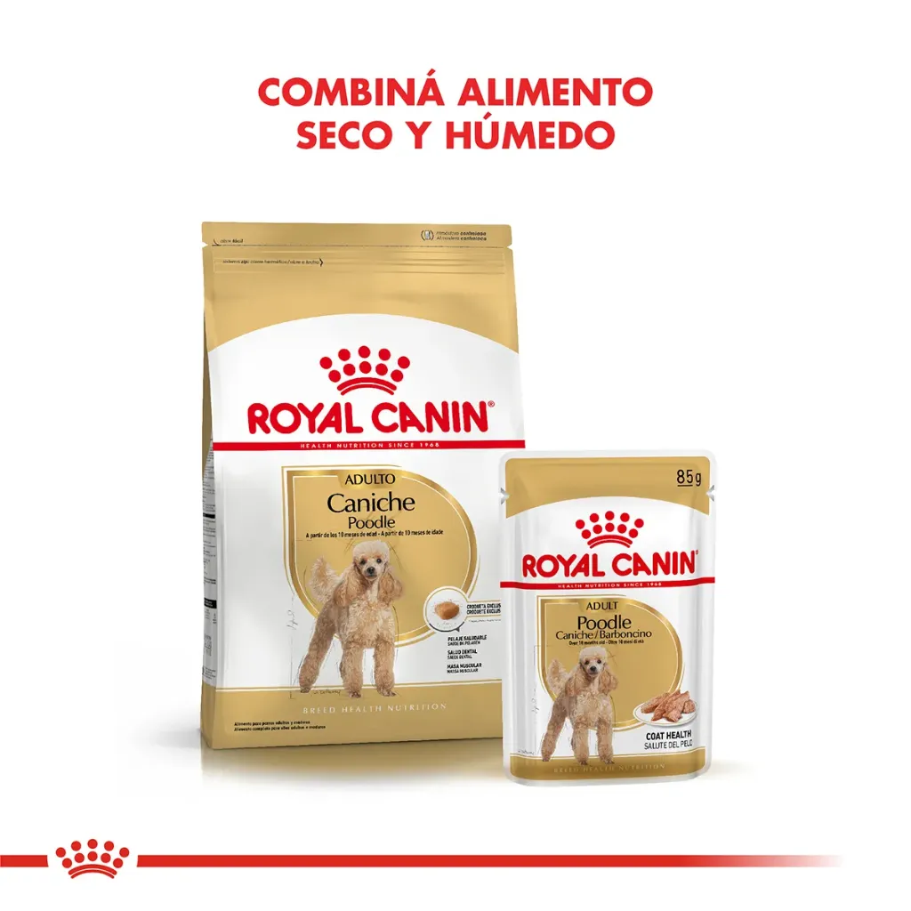 ROYAL CANIN - CANICHE POUCH x 85GRS