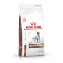 ROYAL CANIN - CANINE GASTROINTESTINAL 2KG