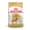 ROYAL CANIN - GOLDEN RETRIEVER ADULTO 12KG