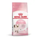 ROYAL CANIN - KITTEN x 1,5KG
