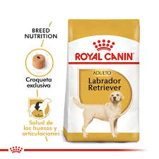 ROYAL CANIN - LABRADOR ADULTO x 12KG