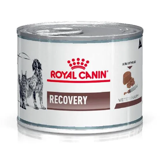 ROYAL CANIN - CANINE/FELINE RECOVERY  195GR