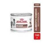 ROYAL CANIN - RECOVERY CANINE/FELINE LATA x 195GRS