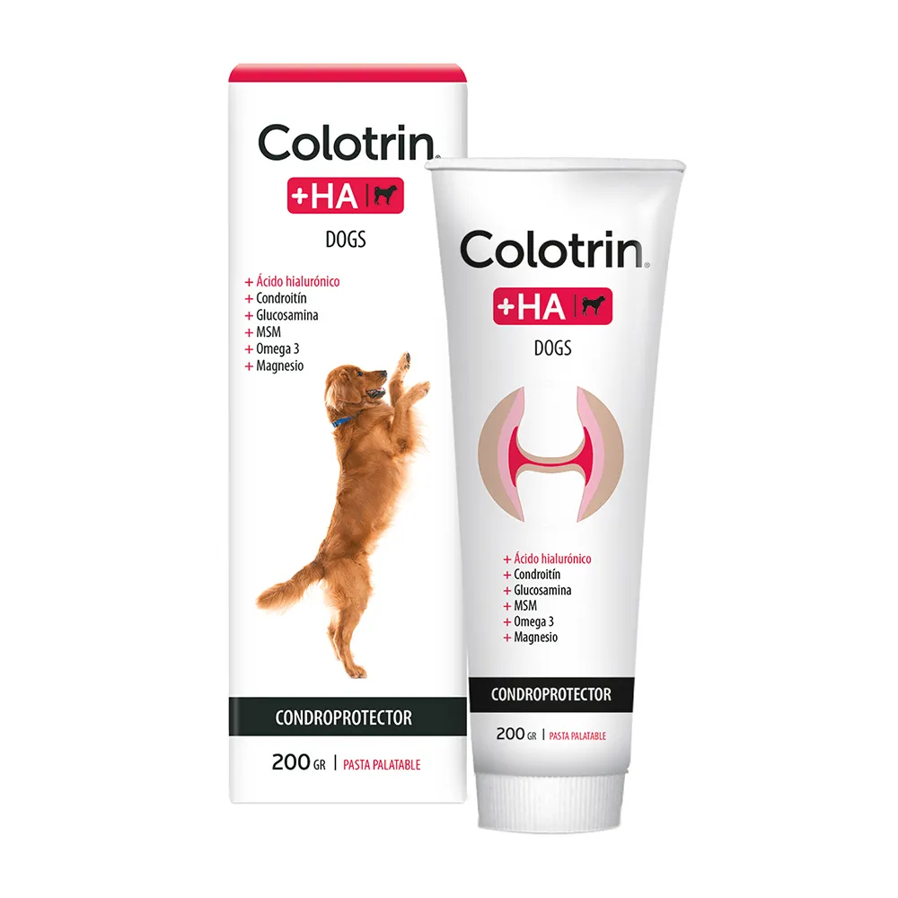 JOHN MARTIN - COLOTRIN +HA DOGS PASTA PALATABLE 200GR