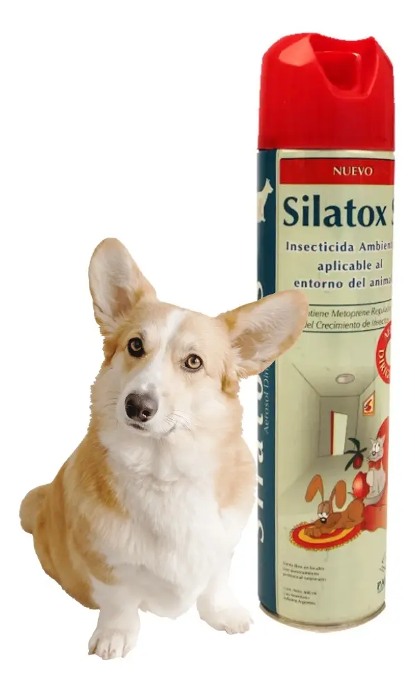 PAUL - SILATOX AMBIENTAL S DIRIGIDO 440CC