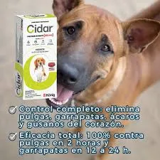 KÖNIG - CIDAR COMPRIMIDO MASTICABLE PERROS 6 A 12KG